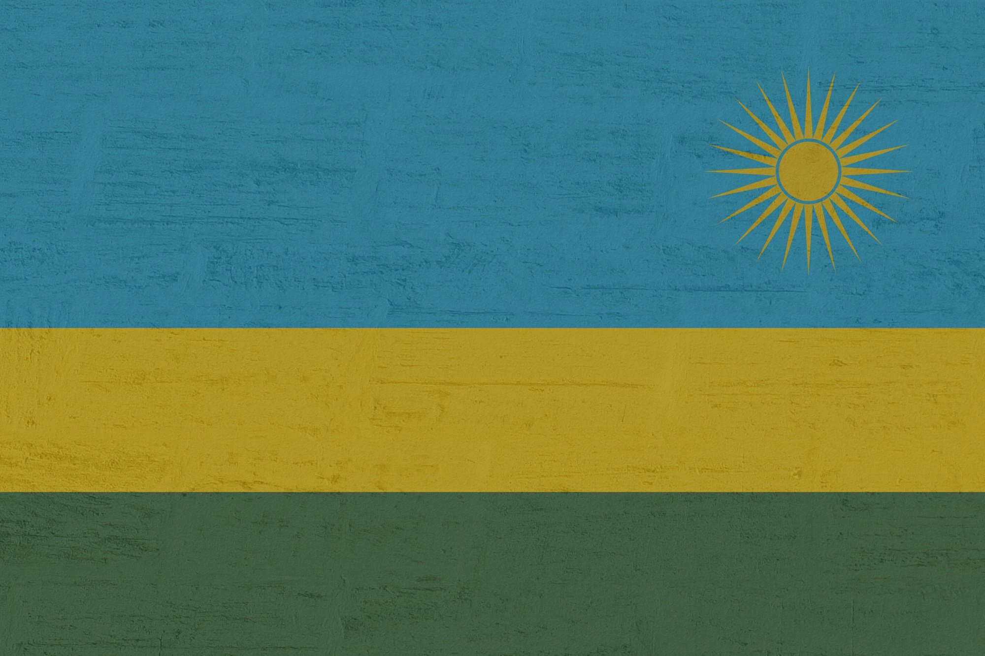 Digital solutions for sustainable development Rwanda