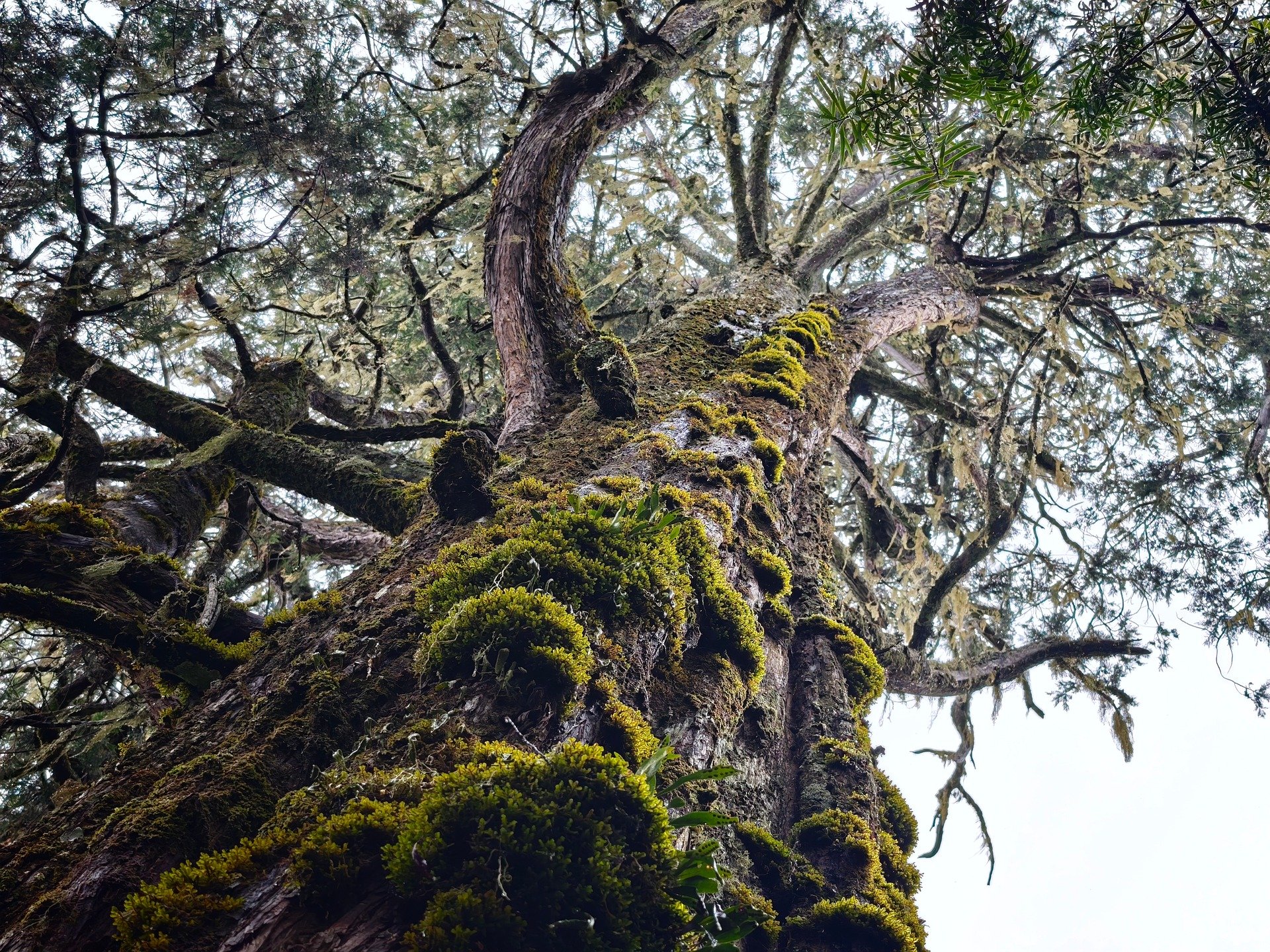 Environment