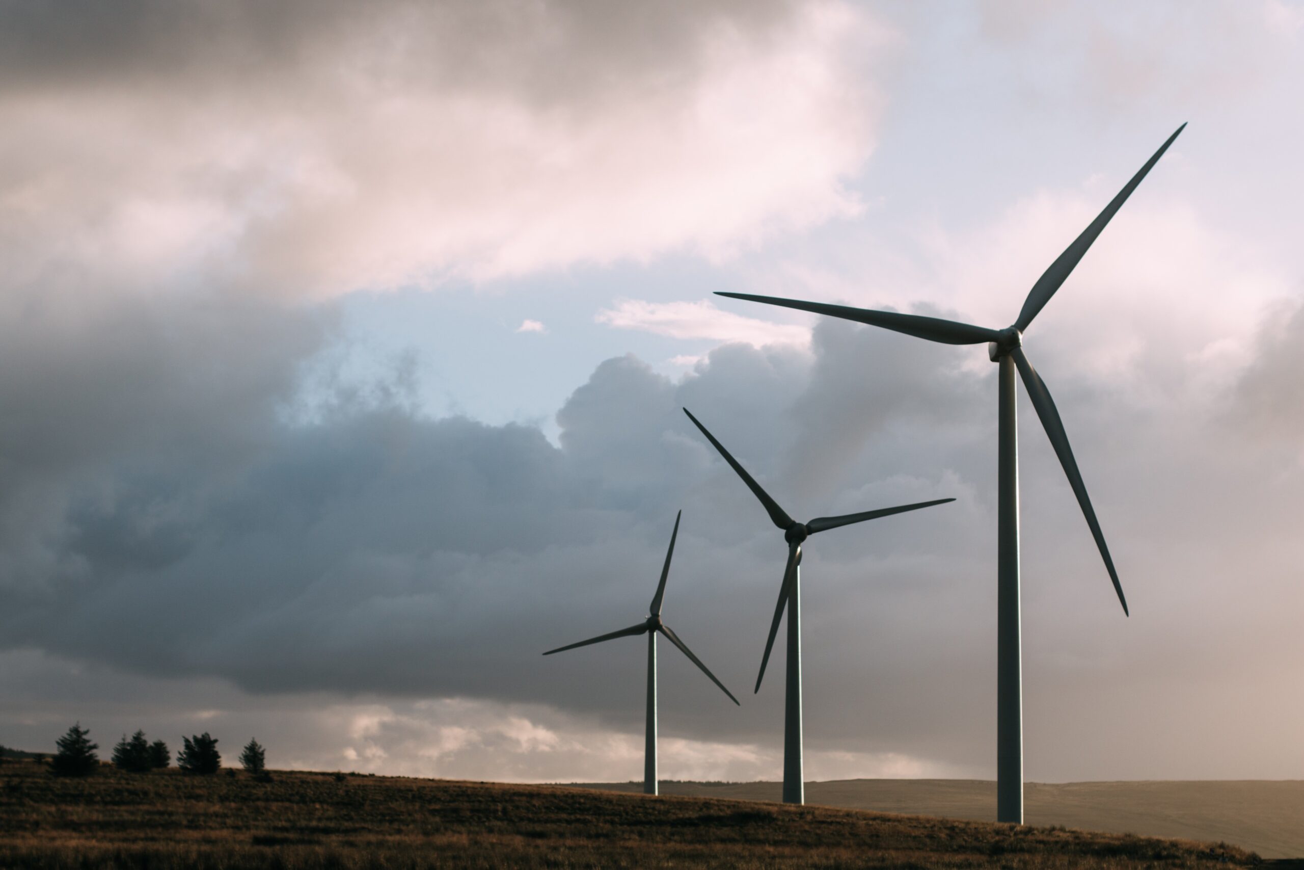 Formulation of renewed Danish support to the OECD Clean Energy Finance and Investment Mobilisation CEFIM Programme 2024 2028 scaled