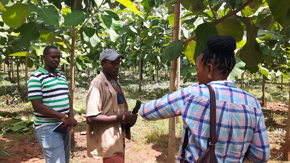 PEM Insight Series: Celebrating 30 Years of Growth and Learning 3 SK interviewing tree growers in Njombe in 2016