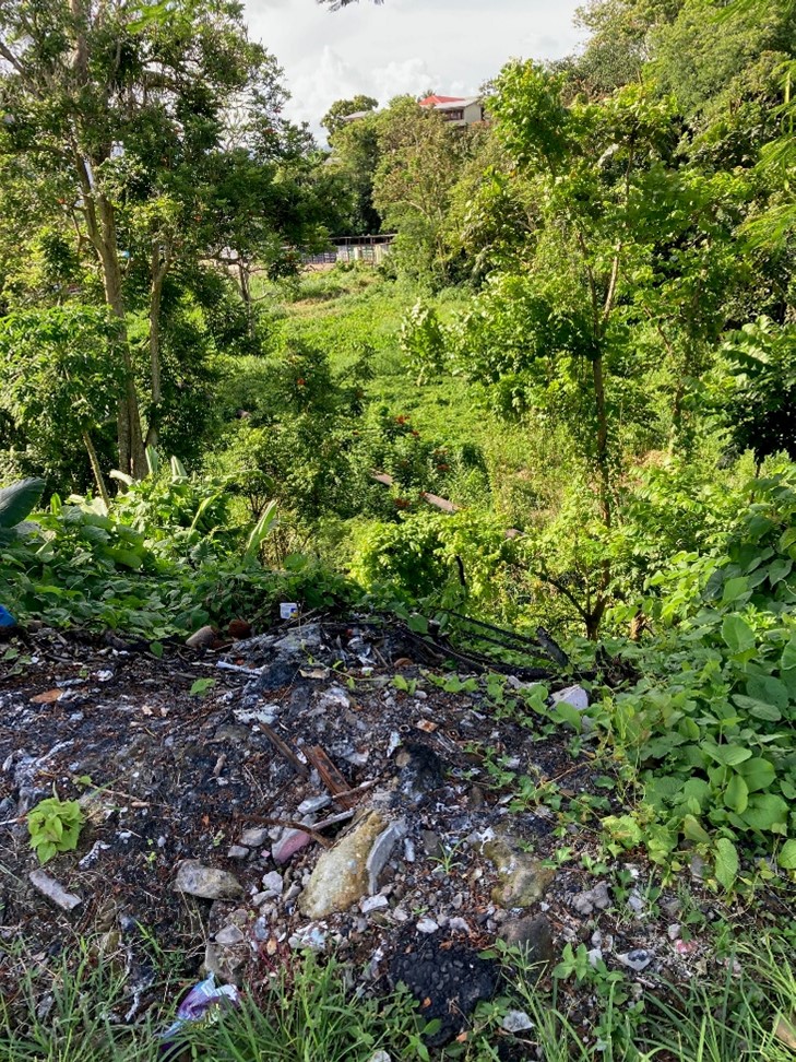 Plastic Waste Free Islands