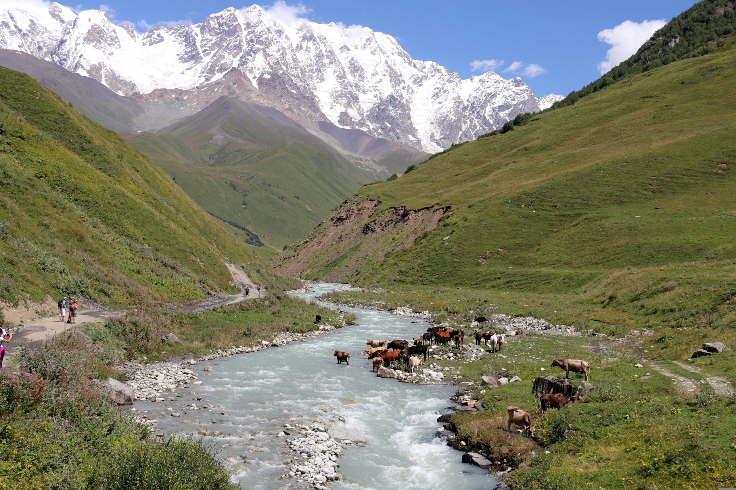 Technical review of the project Enabling Environment for Sustainable Energy in Georgia scaled