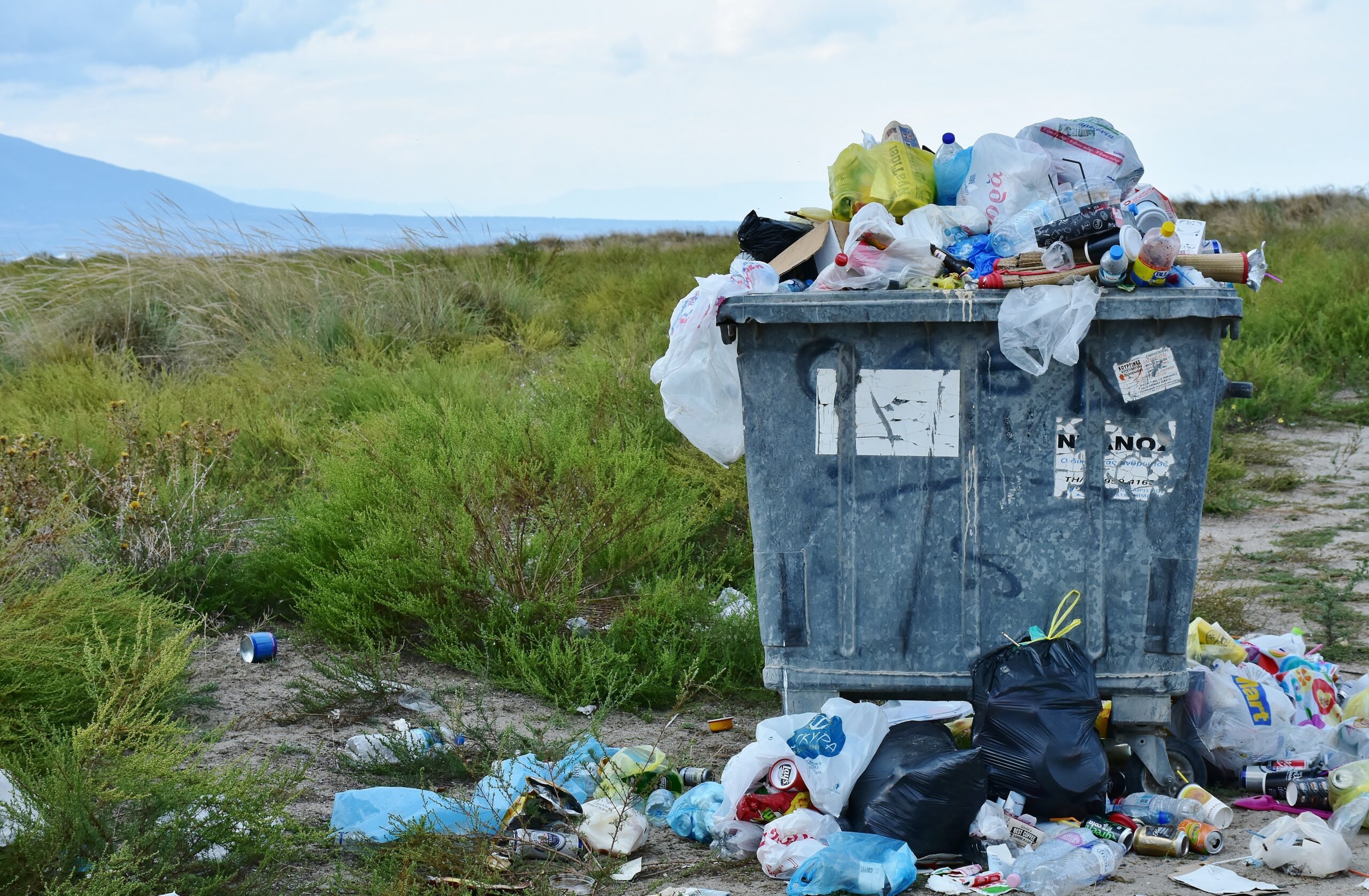 municipal solid waste MSW sector. 2 scaled